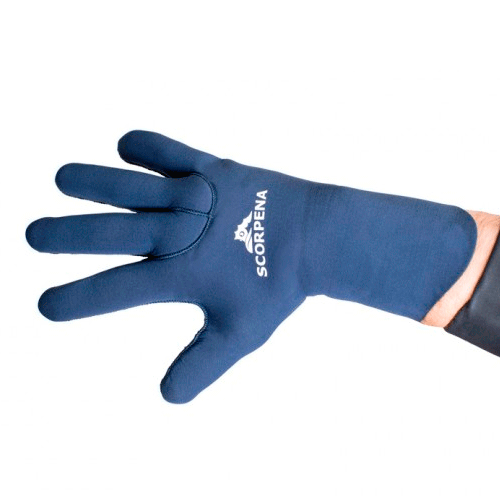  Scorpena B, 3 ,    ,        .