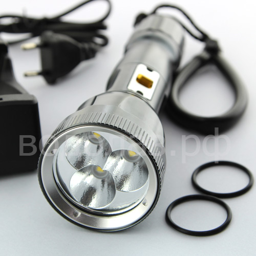  Sargan  1200 ,     ,        .