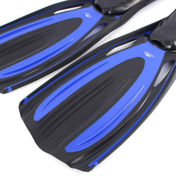  Narwhal Wave    ,        .