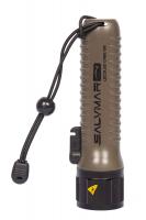  Lecoled    ,        .