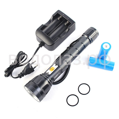    2100      ,        .