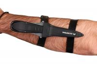     Scorpena   ,        .