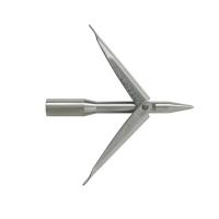  PORTOGHESE .   ,        .