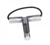      Scorpena   ,        .