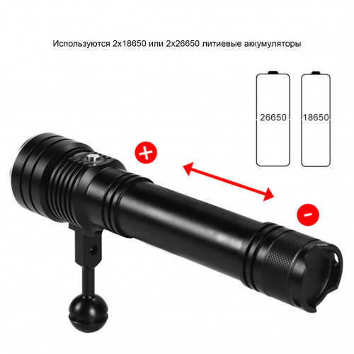   61 2500 -       ,        .