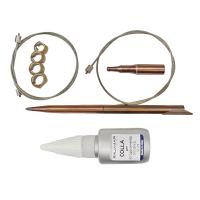  SHARK      ,        .