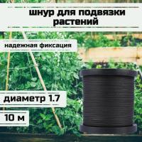 ���� ��� �������� ��������, ����� �������, ������ 1.7 �� �������� 170 �� ����� 10 ������/Narwhal ��� ��������� �����, ������ �� ������ ���� � �������� �������� �������.��