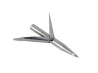      (),  . Scorpena   ,        .