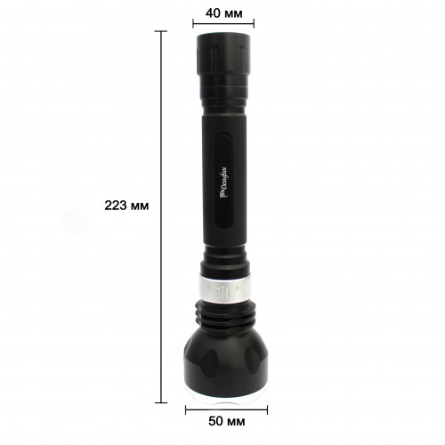    1200 -       ,        .