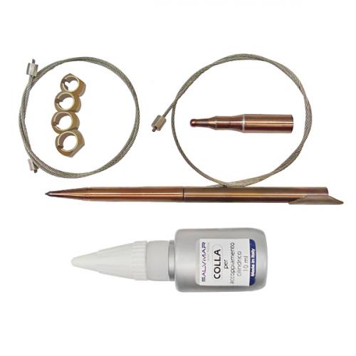  SHARK      ,        .