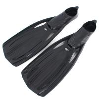  Narwhal Wave    ,        .