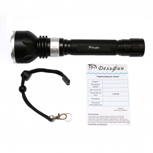    1200 -       ,        .