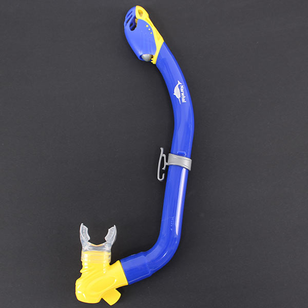 ����� Narwhal �����+������ ��� ��������� �����, ������ �� ������ ���� � �������� �������� �������.��