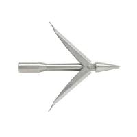  CONCORD .   ,        .