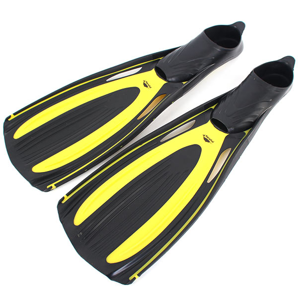  Narwhal Wave    ,        .