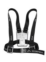   Scorpena 4    ,        .