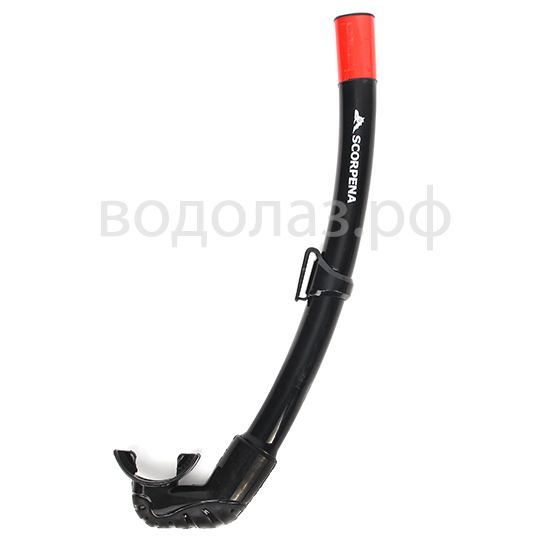  Scorpena A   ,        .