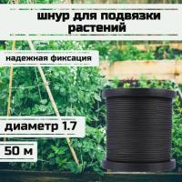 ���� ��� �������� ��������, ����� �������, ������ 1.7 �� �������� 170 �� ����� 50 ������/Narwhal ��� ��������� �����, ������ �� ������ ���� � �������� �������� �������.��