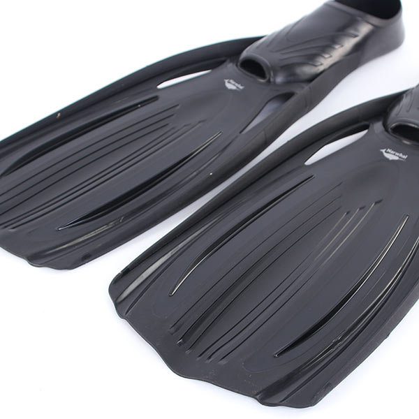  Narwhal Wave    ,        .