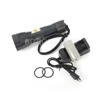  Sargan  1500 , 3 ,     ,        .