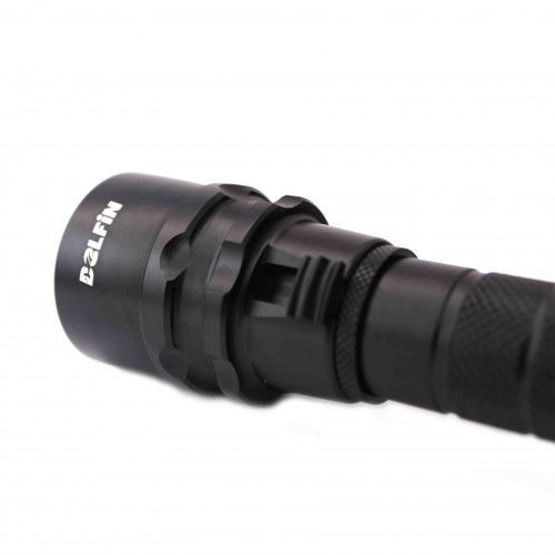   D19 1200    ( )   ,        .