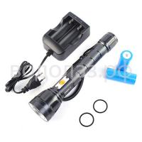    2100      ,        .