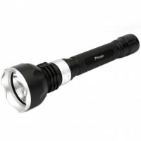    1200 -     ,        .