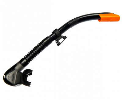 ������ ������ �����, ������ �������, �����, ��������� ����. ��� ��������� �����, ������ �� ������ ���� � �������� �������� �������.��