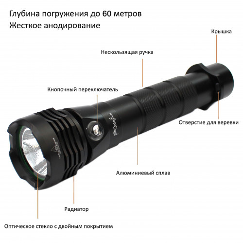   52 2500  ,  .   ,        .