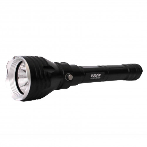   L22 1200   ,        ,     .