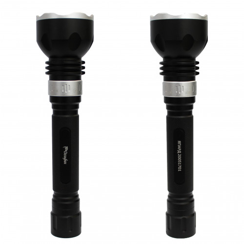    1200 -       ,        .