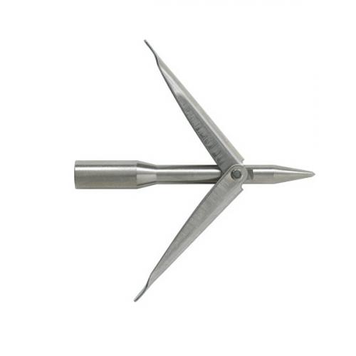  PORTOGHESE .   ,        .