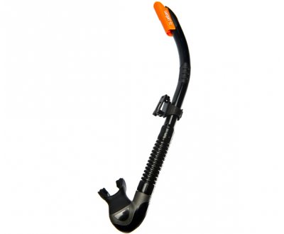 ������ ������ �����, ������ �������, �����, ��������� ����. ��� ��������� �����, ������ �� ������ ���� � �������� �������� �������.��