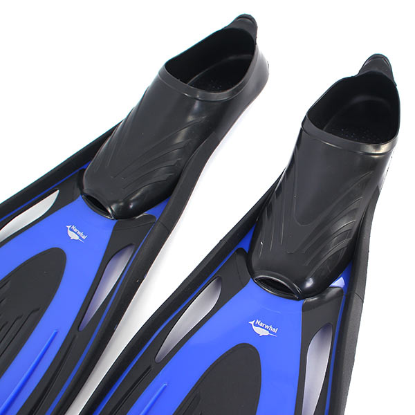  Narwhal Wave    ,        .