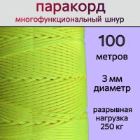    /   3  / 100    ,        .