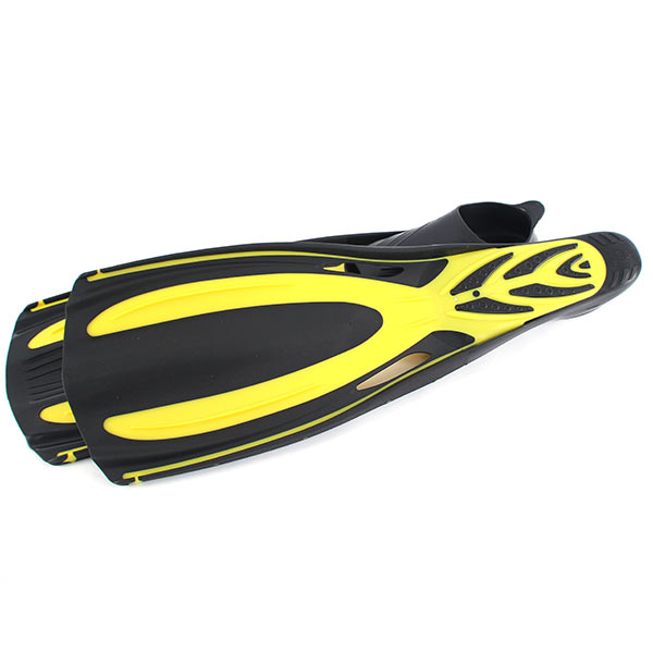  Narwhal Wave    ,        .