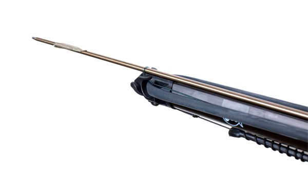      Scorpena   ,        .