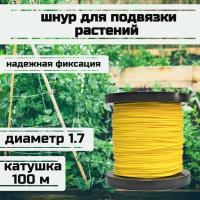 ���� ��� �������� ��������, ����� �������, ������ 1.7 �� �������� 170 �� ������� 100 ������/Narwhal ��� ��������� �����, ������ �� ������ ���� � �������� �������� �������.��