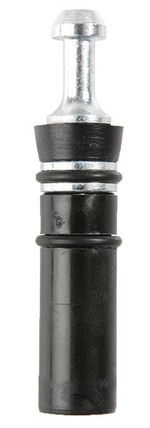    Scorpena   ,        .