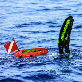    Salvimar,  KRYPSIS   ,        .