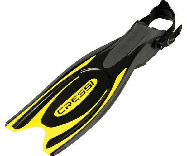  cressi frog plus   ,     .