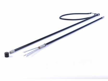 ����� C����� C�����, 200 �� � ���������. ��� ��������� �����, ������ � ��������� �������� �������.��