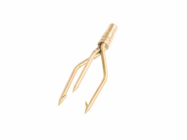 ���������� �������� �������� ����� ��� ��������� �����, ������ �� ������ ���� � �������� �������� �������.��