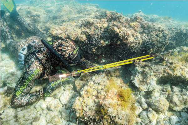 - Salvimar METAL KRYPSIS, 75   ,        .