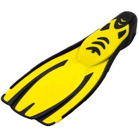  Marlin Miami   ,     .