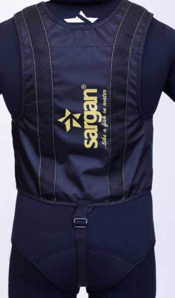  Sargan  ()   ,     .