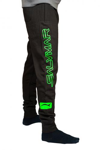   Salvi XL   ,        .