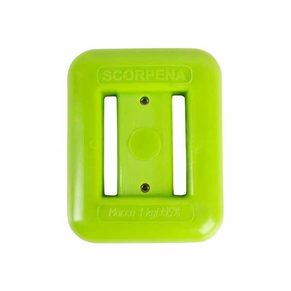   Scorpena 1     ,     .