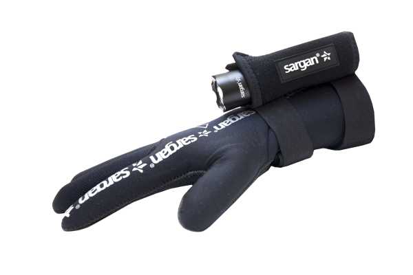    "  2.0"      SARGAN   ,     .