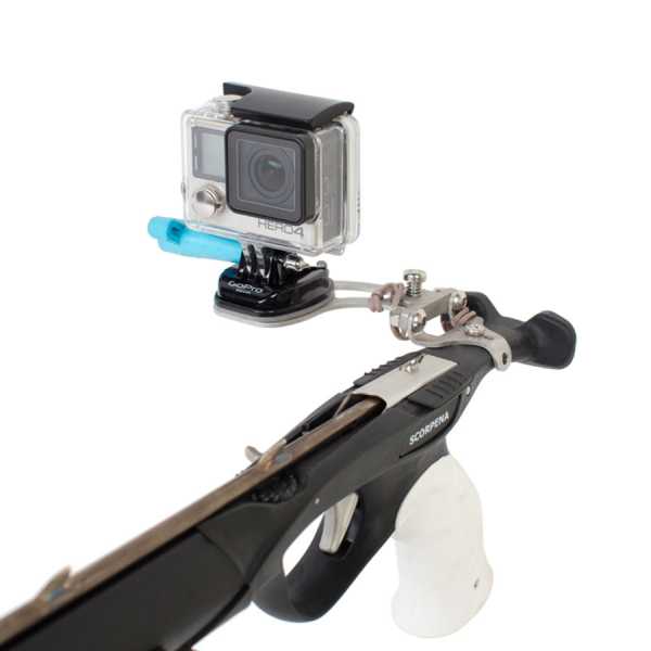     Scorpena D, X   ,     .